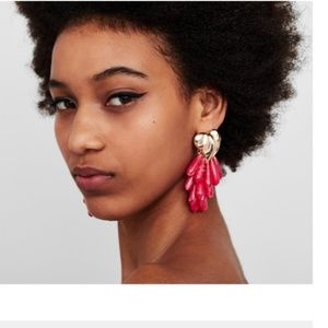 New! Zara Coral colored heart earrings